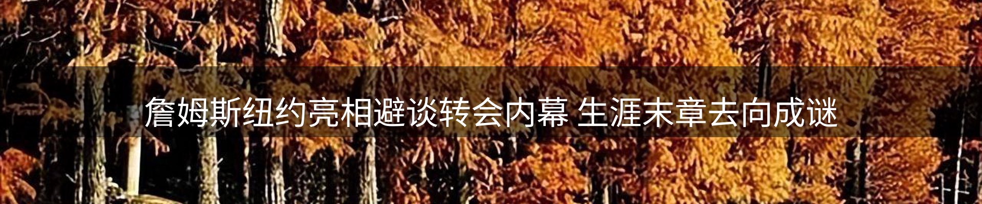 内页banner