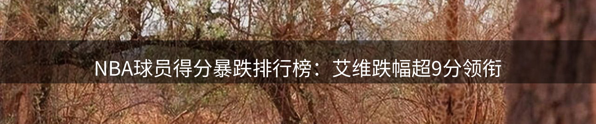 内页banner